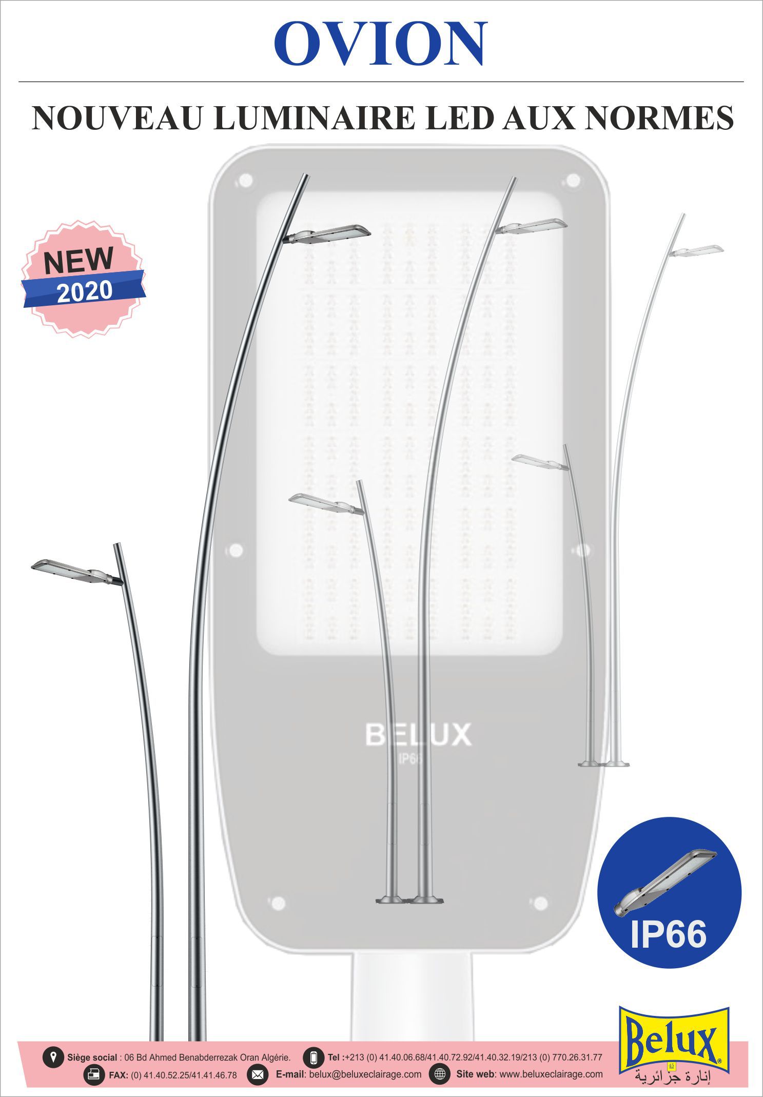 Odoo image et bloc de texte