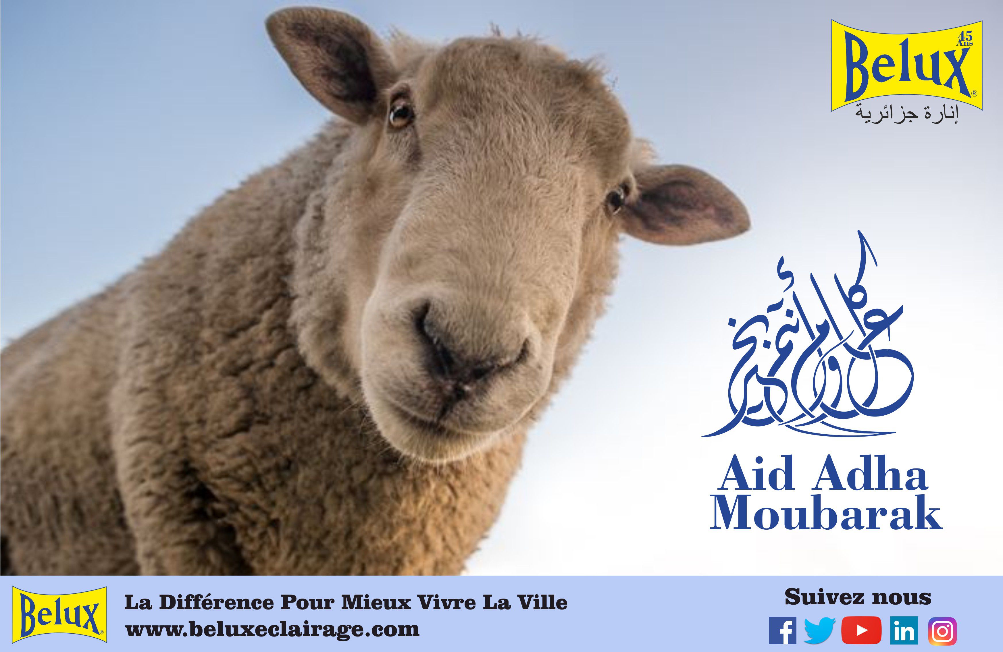 Texte Odoo et bloc d'image